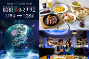 【神戸ルミナリエ開催】atoa入場券付き特別ディナー販売を実施！夜は『神戸ルミナリエ』のライトアップで特別なひとときを。神戸最大級のフードホール「TOOTH MART FOOD HALL」