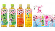 春限定「お～いお茶」桜満開パッケージを、1月22日（月）より季節限定で販売開始