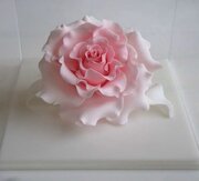 【京都 蔦屋書店】西山美なコがシュガーペーストで制作したバラの花弁。1月22日（月）より店頭にて受注販売。