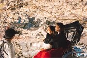 【川越プリンスホテル】春風を感じながら貸切人力車でめぐる 優美な夜桜絶景体験