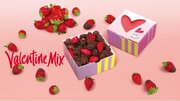 チョコイチゴの鉄板MIXが今年も登場！プチギフトにピッタリのハートモチーフのミニBOXがウレシイ『バレンタインMIX』1月19日(金)より期間・数量限定発売！