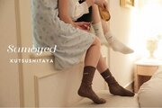 Samoyed（サモエド）と靴下屋のコラボレーション靴下が登場。2024年2月2日(金)より全国の対象店舗と公式オンラインストアにて販売