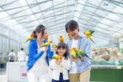 【JAF静岡】「JAFデー in 掛川花鳥園」を開催します！