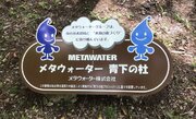 仙台市の水源かん養林保全活動「青下の杜プロジェクト」に参画