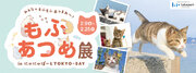 三井ショッピングパーク ららぽーとTOKYO-BAY】猫写真家「五十嵐健太」を迎えた猫企画「もふあつめ展 in にゃにゃぽーとTOKYO-BAY」を開催！