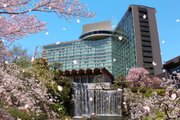 桜を見るならニューオータニで！3/1より″勝手に開花宣言″、館内外で昼も夜もお花見できちゃう都心のホテルへGO！
