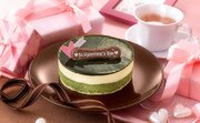 【バレンタインに贈る特別なギフト】京都ヴェネト「濃厚抹茶を味わうチーズケーキ」でバレンタインを素敵な一日に