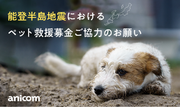 【能登半島地震】ペットと飼い主様への支援に関するご報告