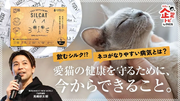 【シルクの力で猫の腎臓をケア】特許技術の”飲むシルク”を用いた猫用腎臓ケアサプリメントを販売開始。発売開始1ヶ月で35万食オーダー受注。ニュースメディア新R25にてインタビューを掲載。