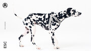 愛犬にもエシカルなクオリティとデザインを。匠の技が光るプレミアムなドッググッズ、ESCより発売。