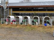 【和牛もほっこり】牛の防寒コート最新モデル、2/13に和歌山県熊野牛子牛市場で初の展示販売。