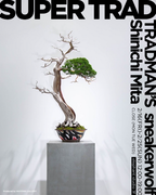 日本の伝統・ストリートカルチャーを前進するアートムーブメント「SUPER TRAD」by TRADMAN’S  sneakerwolf  Shinichi Mita 2月16日(金)より開催