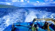 SANKO船団が獲った魚をメインに、新業態『船上すし みこう』2024年2月14日（水）新宿区・牛込柳町にオープン！