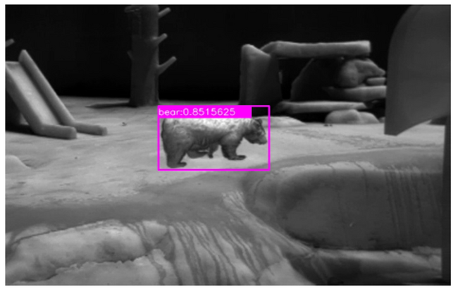 画像：あいわな(R)クラウドの認識獣種にクマが追加されました。ヒト・車に対する警戒システム「VIGILA」との連携もスムーズです。