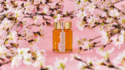 桜の開花時期にしか採蜜できない稀少な桜のはちみつ「テーブルハニー 国産 桜」、数量限定発売