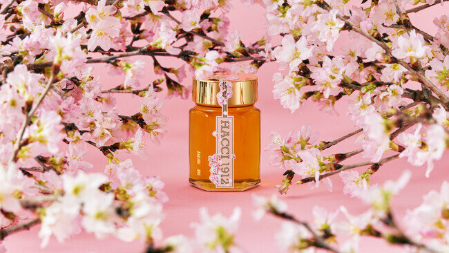 画像：桜の開花時期にしか採蜜できない稀少な桜のはちみつ「テーブルハニー 国産 桜」、数量限定発売