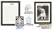 どの角度からも写真が見やすい無反射PET板を前面板に採用した肖像額縁「入山」太子判サイズ 1製品が新発売