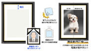 画像：どの角度からも写真が見やすい無反射PET板を前面板に採用した肖像額縁「入山」太子判サイズ 1製品が新発売
