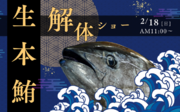 『サカナタベタイMEGAドン・キホーテ本八幡』の生本鮪解体ショーは、2024年２月18日（日）11時スタート!!