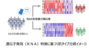 ＜皮脂RNAモニタリング技術＞皮脂RNAによる肌タイプ分類の開発