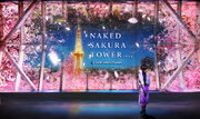 名古屋の夜景桜のアートを、中部電力 MIRAI TOWERで楽しむ都会のお花見