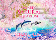 マクセル アクアパーク品川ネイキッド、桜のデジタルアートで彩る海のお花見
