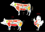 【アンケート調査】よく購入するお肉の種類1位は「豚こま肉」！2位、3位は何？