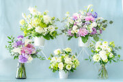 観葉植物・花のD2Cブランド「AND PLANTS（アンドプランツ）」が白と紫を基調とした新商品「お供え花」を発売