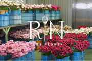 年間3万5千本の美しいのにも関わらず廃棄されてしまっている全国の花を減らす新プロジェクト「ロスフラワー(R)︎定期購入プロジェクト」スタート