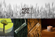 サテライトオフィス「ASO&Co.」、阿蘇市内の企業とのコラボレーション商品販売開始