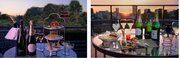 【ホテル椿山荘東京】新緑が広がる開放的な空間で、スパークリングワインのフリーフローと料理を楽しむ「Twilight Bubble Terrace」を5月18日よりスタート