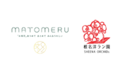 おまとめ祝い花『matomeru』、フラワーロス削減に向けて椎名洋ラン園との業務提携開始