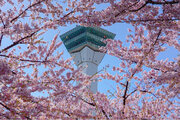 【函館湯の川温泉／湯元啄木亭】3月は春の訪れ！卒業旅行プラン販売致しました！