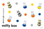 ミッフィーのブリキ缶「miffy box」が、オランダ発『MTDay』より登場！