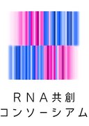 パーフェクト社、花王とアイスタイルが共同設立する 「RNA共創コンソーシアム」に幹事社として参画