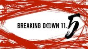 『BreakingDown11.5』の対戦カード決定！今大会より、PPV＆100席限定の会場チケット販売がスタート