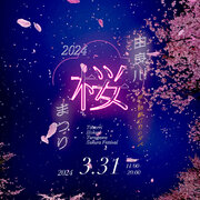コンサートやライトアップ！桜の楽しみ方が満載「由良川桜まつり」を開催