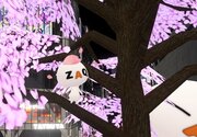 -新生活を迎えるあなたを桜“ざっくぅ”が応援-　日本最大級のオープンメタバースイベント「Sakura Virtual Fes 2024」にJ:COMが参画