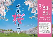 【東京都足立区】1,000本の桜の下で春を満喫！「舎人公園千本桜まつり」を開催します