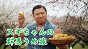 TOKYO FMが、群馬県が誇る梅プロモーション動画を制作！スギちゃんが群馬の梅農家、梅加工会社を旅する動画『スギちゃんの群馬うめ旅』