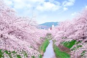 ハートフルビレッジ新大宮：奈良市法蓮町に新たな幸せを紡ぐ10区画の新築分譲地オープン！