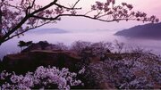 【竹田城 城下町 ホテル EN】“桜雲海”で竹田城跡ならではのハイキングを満喫できる「春の登山セット」を販売開始