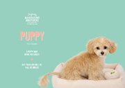 3月23日は、世界子犬の日　〈MANDARINE BROTHERS〉ブランド初となるパピーシリーズが初登場！