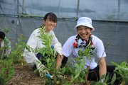 一緒に故郷の森を再生しましょう！岡山県北で12,000本の植樹活動　参加者募集