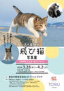 五十嵐 健太「飛び猫写真展」が3月28日(木)から東武宇都宮百貨店で開催