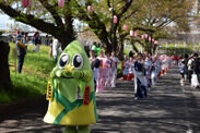 画像：福生市にて「第41回ふっさ桜まつり」が3月23日(土)から開催！5年ぶりとなる夜間の桜のライトアップも実施