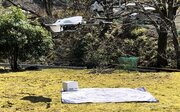 静岡県下田市でレベル3.5飛行による災害時の物資配送及び空撮による被災状況確認に向けたドローン実証実験を実施