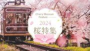 多言語旅行情報サイト「地球の歩き方GOOD LUCK TRIP」は、訪日外国人が知りたい桜の穴場や、日本人と桜の関係を特集！