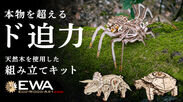 画像：電池不要の木製組み立てキット(恐竜・亀・クモ)がMakuakeにて3月26日より先行販売開始！生き物の特徴を掴んだリアルな動き
