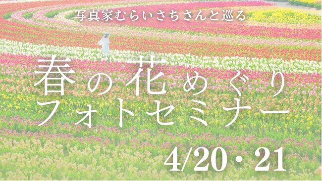 画像：【広島／世羅】写真家むらいさちさんと巡る　春の花めぐりフォトセミナー《チューリップとネモフィラ》